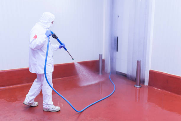 Best Driveway Pressure Washing  in Notre Dame, IN
